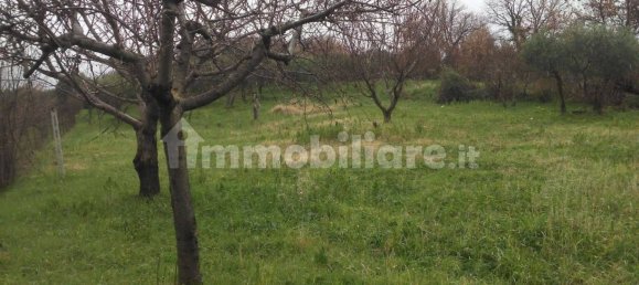 2900m² Land in Poli, Italy No. 251504 4