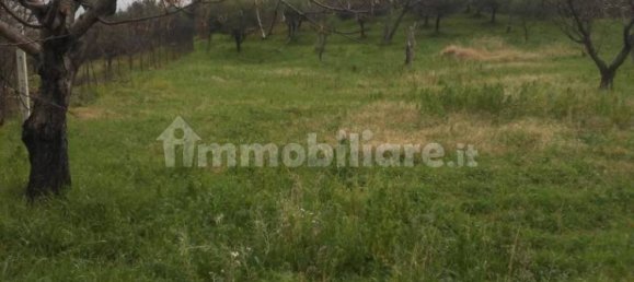 2900m² Land in Poli, Italy No. 251504 3