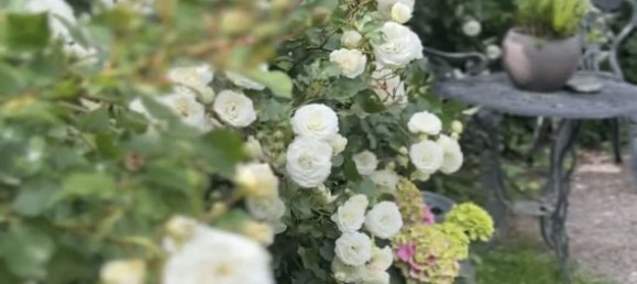 3 bedrooms Apartment in Schwabisch Hall, Germany No. 267975 11