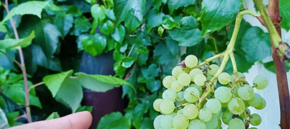 3 bedrooms Apartment in Schwabisch Hall, Germany No. 267975 7