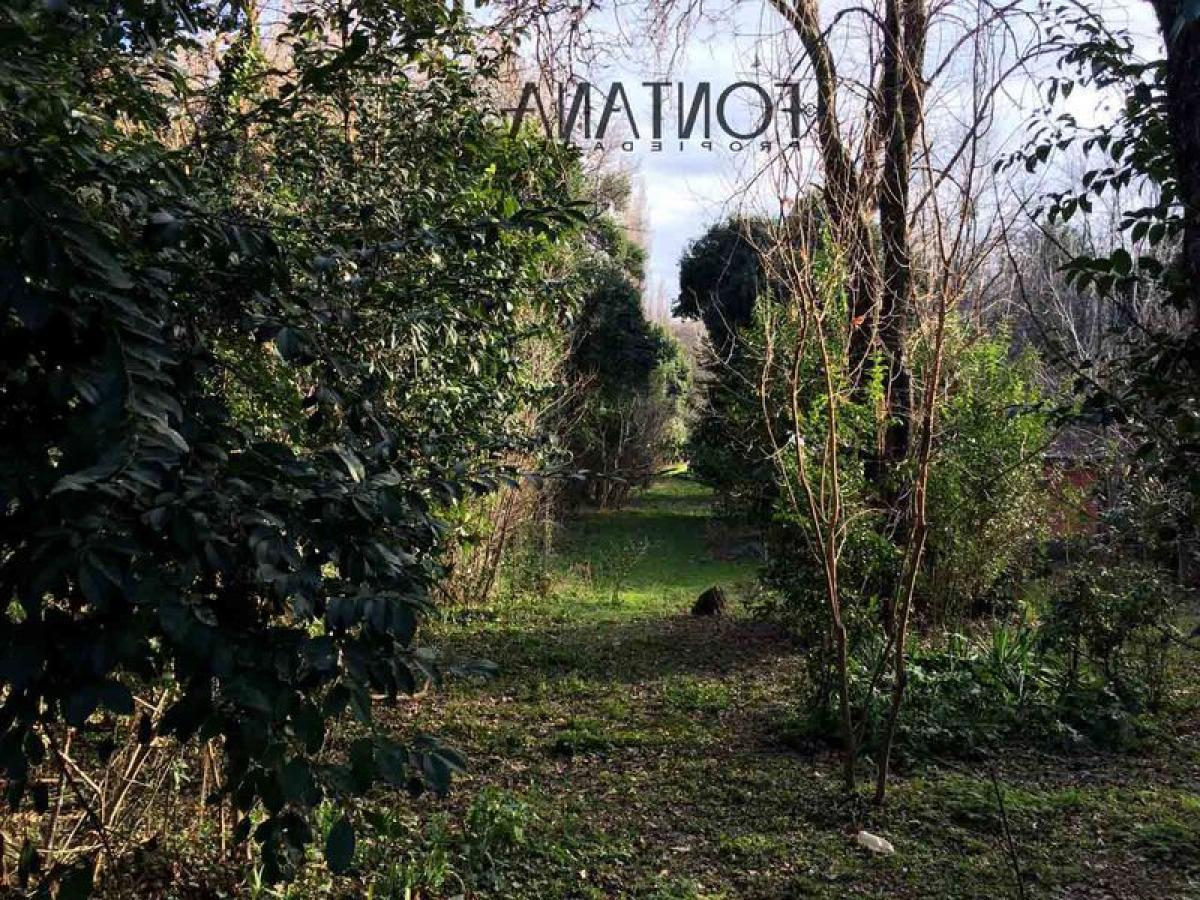  Farm in San Luis, Argentina No. 38452