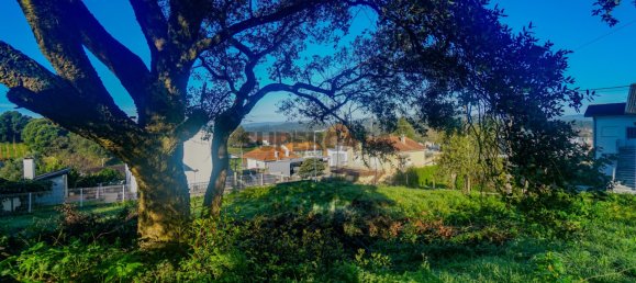 Земельный участок в Монсан, Португалия № 162452 4