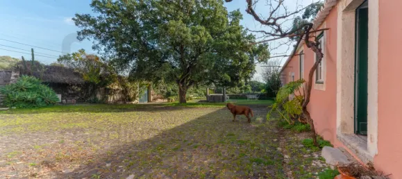 10 bedrooms House in Oeiras, Portugal No. 134802 33