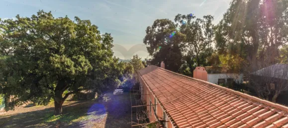 10 bedrooms House in Oeiras, Portugal No. 134802 25