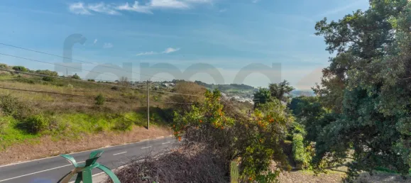 10 bedrooms House in Oeiras, Portugal No. 134802 29