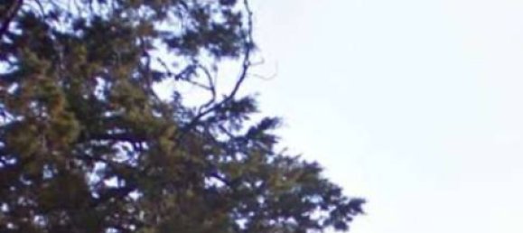 1 bedroom House in Pennabilli, Italy No. 257508 22