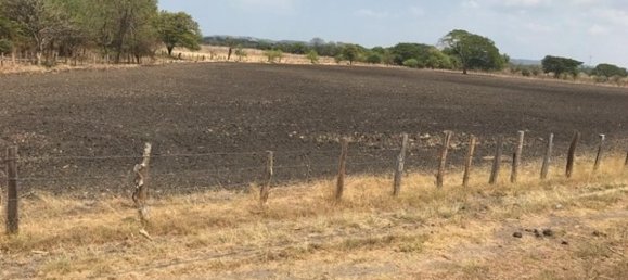  قطعة أرض في Puerto Carrillo, Costa Rica رقم 1644 6