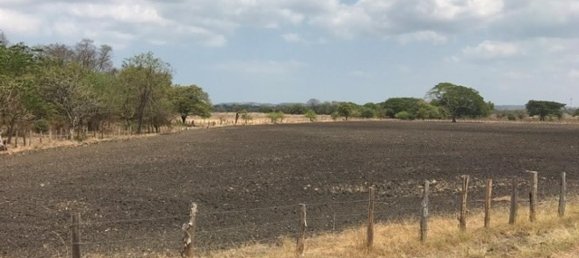  قطعة أرض في Puerto Carrillo, Costa Rica رقم 1644 3