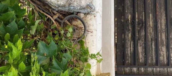 3 غرف نوم فيلا في Ardea, Italy رقم 4515 19