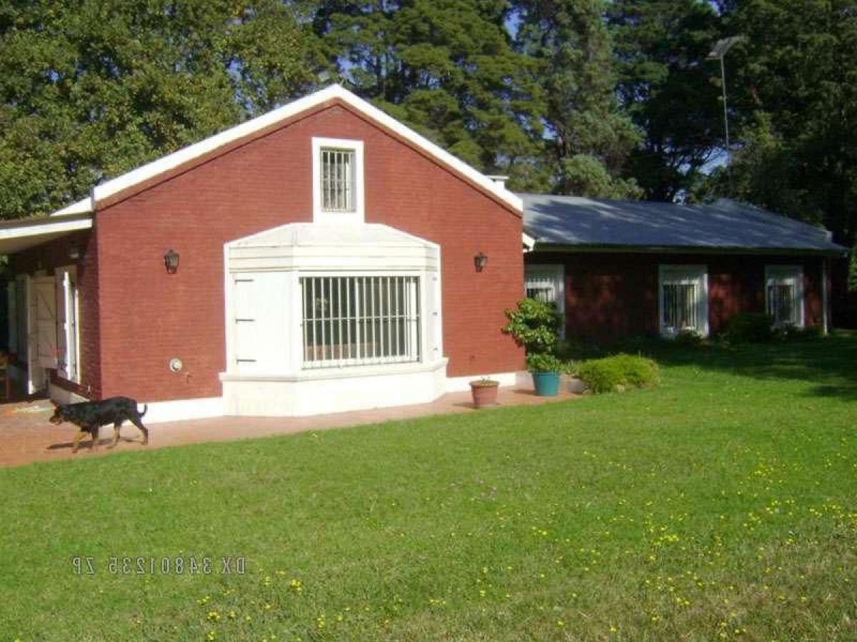  قطعة أرض في Pilar, Argentina رقم 32537