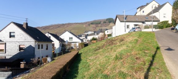  Land in Trier-Saarburg, Germany No. 161478 4