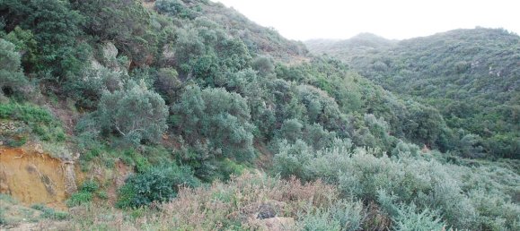 13000m² Hotel in Zakynthos, Greece No. 6560 4