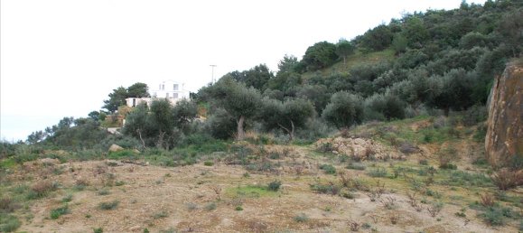 13000m² Hotel in Zakynthos, Greece No. 6560 2