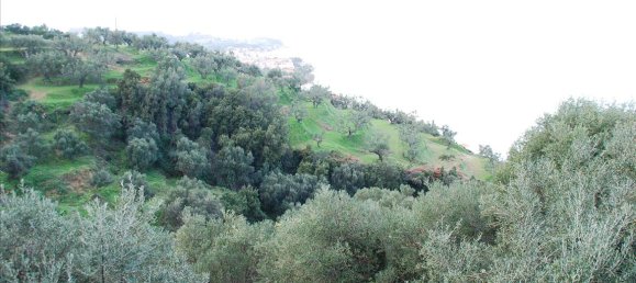 13000m² Hotel in Zakynthos, Greece No. 6560 3