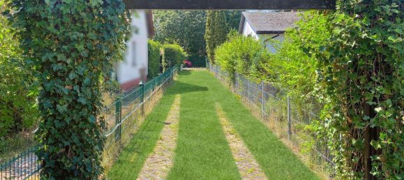 Terrain à Muggelheim, Germany No. 69688 4