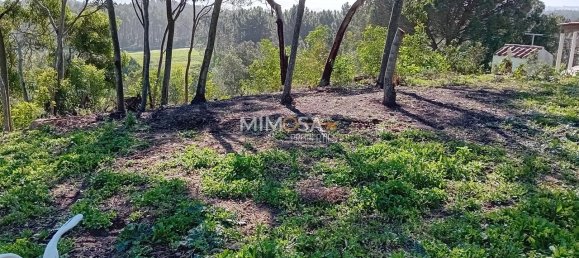 11640m² Land in Rogil, Portugal No. 33015 7
