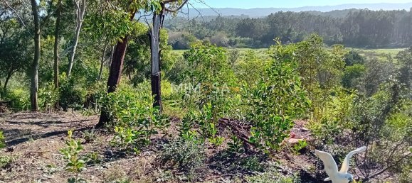 11640m² Land in Rogil, Portugal No. 33015 2