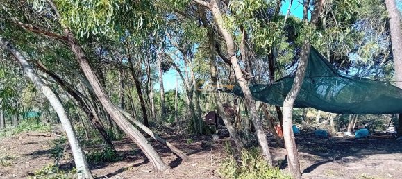 11640m² Land in Rogil, Portugal No. 33015 3