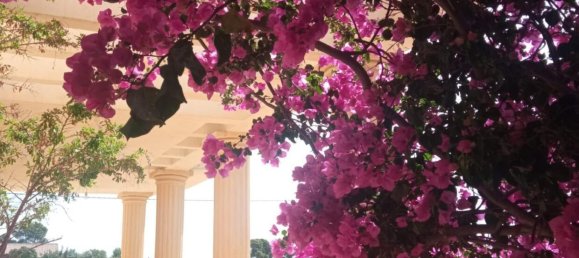 4 bedrooms Villa in Mutxamel, Spain No. 109632 9