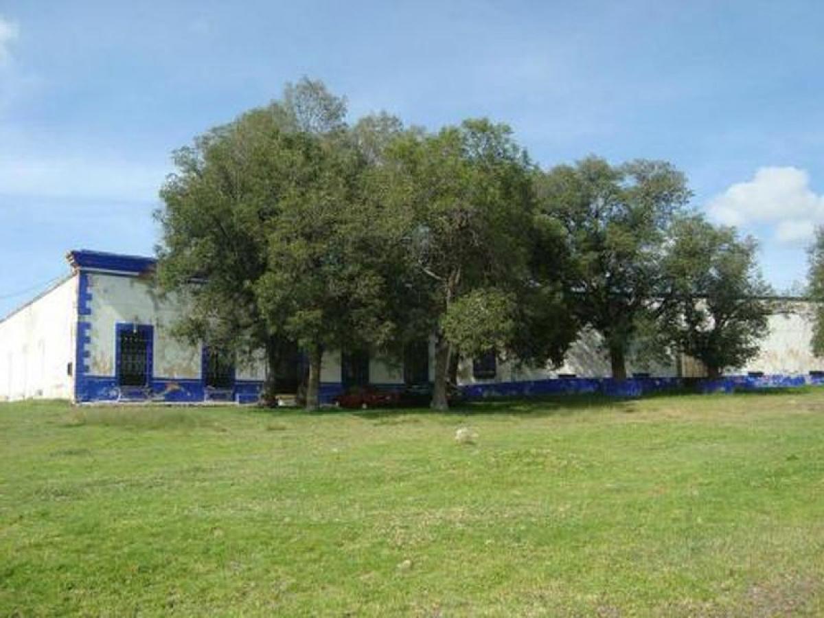 Дом с 3 спальнями в Тласкала, Мексика № 150336