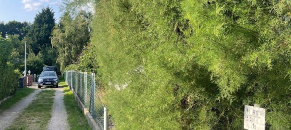 Terrain à Potsdam-Mittelmark, Germany No. 266377 3