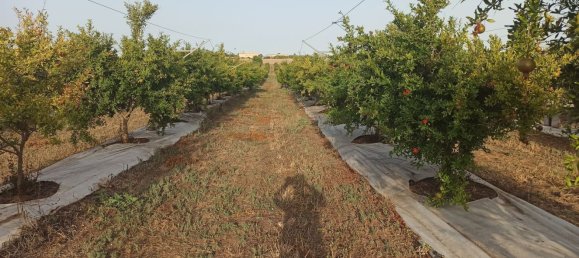  قطعة أرض في Pachino, Italy 13528متر مربع رقم 68078 9