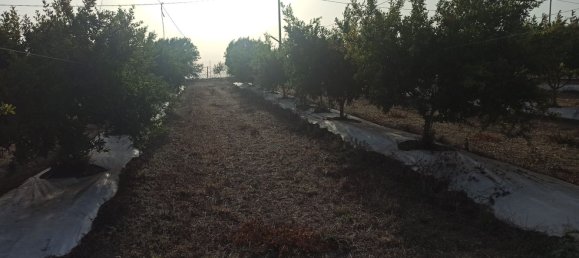  قطعة أرض في Pachino, Italy 13528متر مربع رقم 68078 10