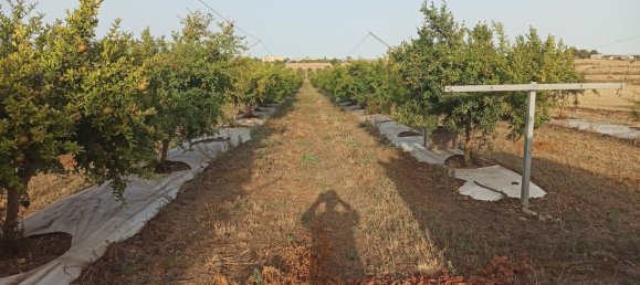  قطعة أرض في Pachino, Italy 13528متر مربع رقم 68078 8