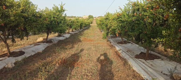  قطعة أرض في Pachino, Italy 13528متر مربع رقم 68078 15