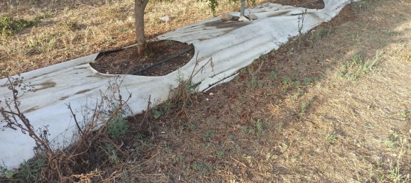  قطعة أرض في Pachino, Italy 13528متر مربع رقم 68078 17