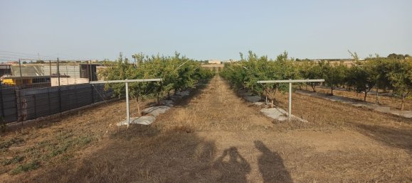  قطعة أرض في Pachino, Italy 13528متر مربع رقم 68078 7