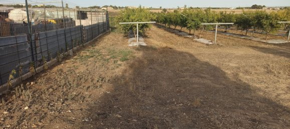  قطعة أرض في Pachino, Italy 13528متر مربع رقم 68078 5