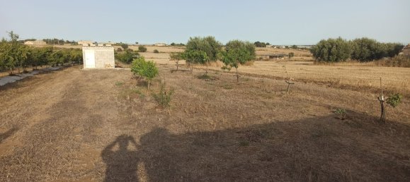  قطعة أرض في Pachino, Italy 13528متر مربع رقم 68078 2