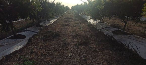  قطعة أرض في Pachino, Italy 13528متر مربع رقم 68078 18