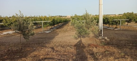  قطعة أرض في Pachino, Italy 13528متر مربع رقم 68078 21