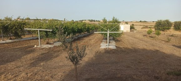  قطعة أرض في Pachino, Italy 13528متر مربع رقم 68078 3