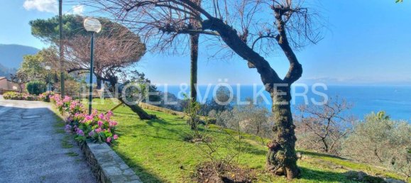 Apartamento de 2 dormitorios en Camogli, Italy No. 128085 16