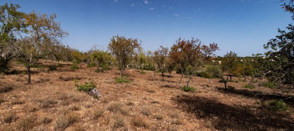 Grundstück in Paderne, Portugal 21770m², Nr. 73703 2