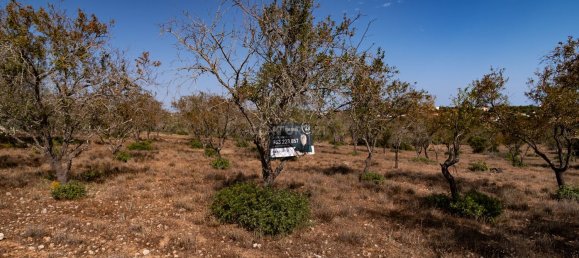 Grundstück in Paderne, Portugal 21770m², Nr. 73703 3