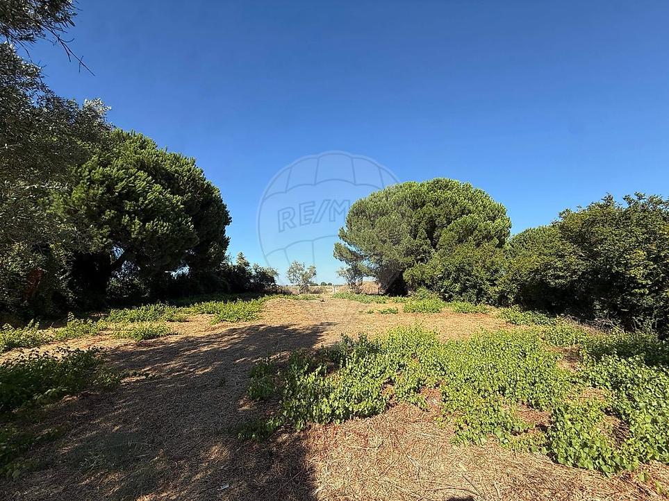  Land in Palmela, Portugal No. 290563