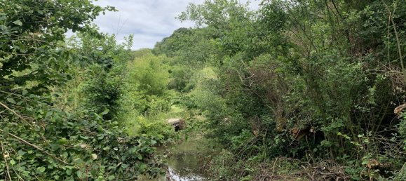 Terreno em Lannoy-Cuillere, France 8422 m² N.º 87013 2