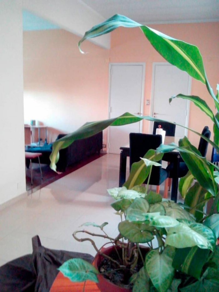 4 bedrooms House in Buenos Aires, Argentina No. 83650