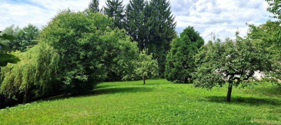 4 rooms House in Sinabelkirchen, Austria No. 191061 29