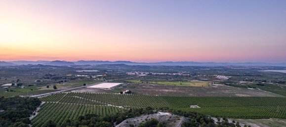 3 bedrooms Bungalow in San Miguel de Salinas, Spain No. 2386 4