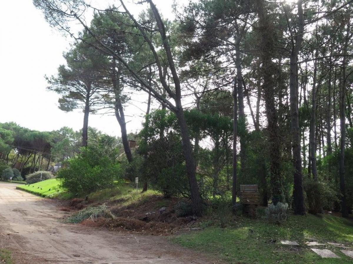  Land in Mar del Plata, Argentina No. 118245