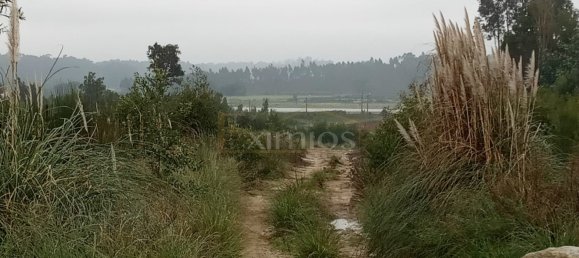 Grundstück in Aveleda, Portugal, Nr. 275336 3