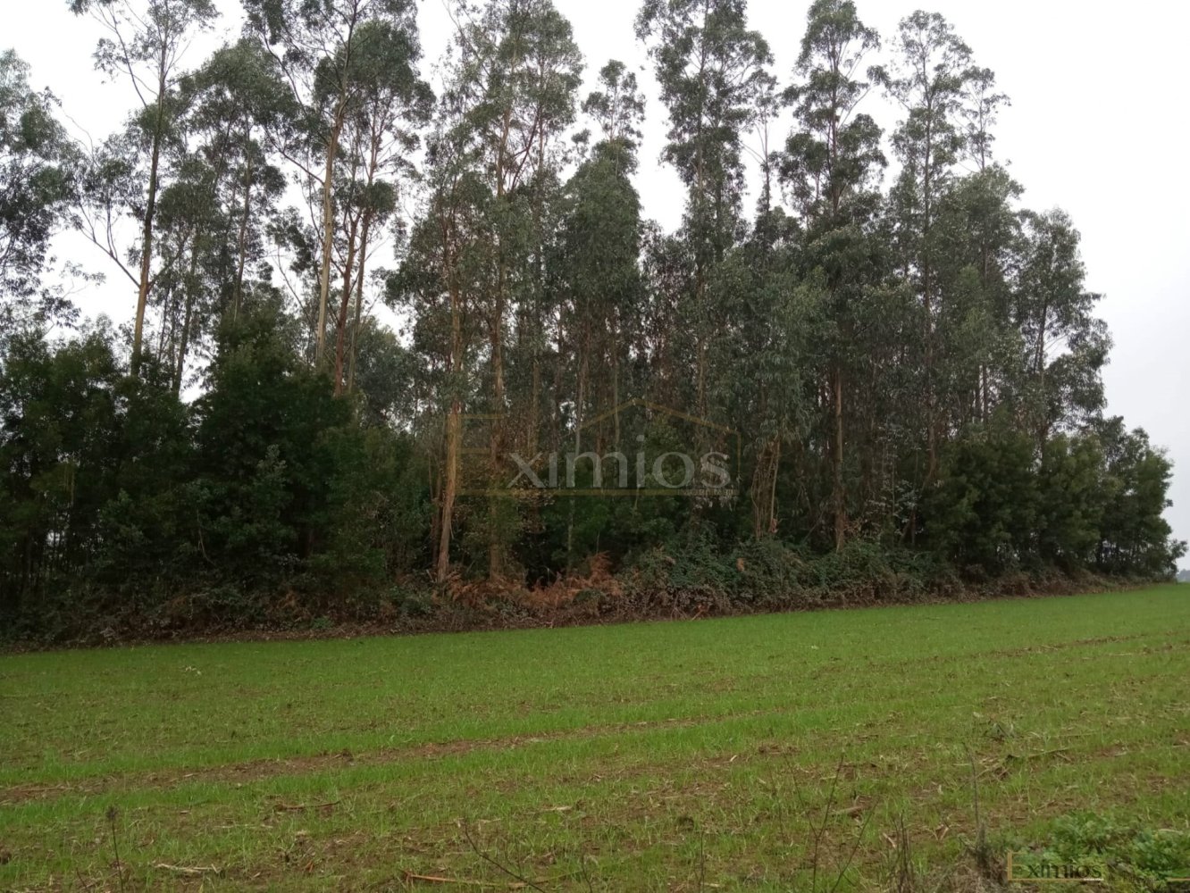  قطعة أرض في Aveleda, Portugal رقم 275336