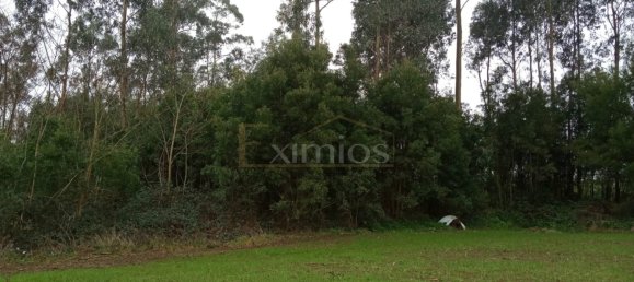 Grundstück in Aveleda, Portugal, Nr. 275336 2