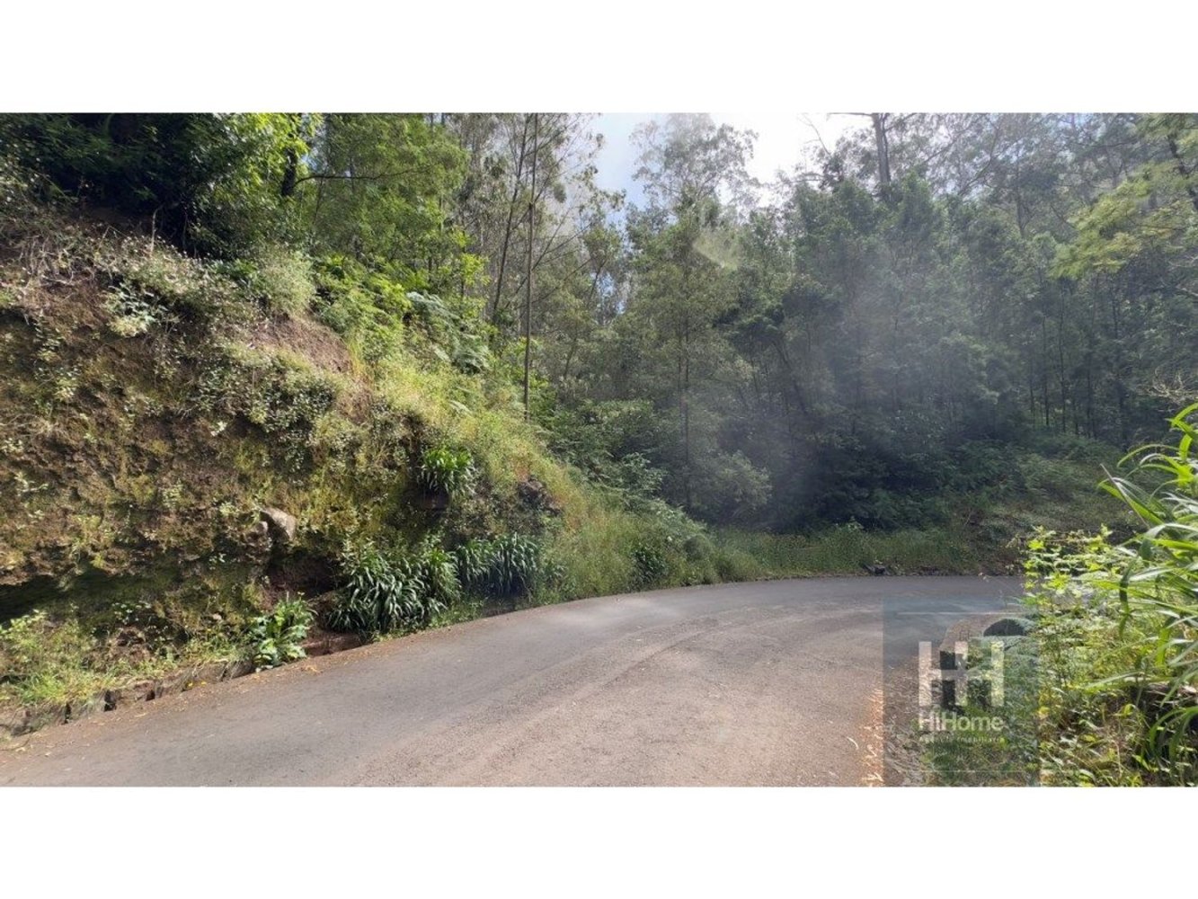  Land in Funchal, Portugal No. 199345