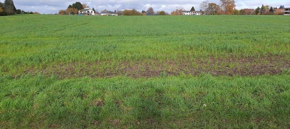  Land in Schaumburg, Germany No. 174862 3